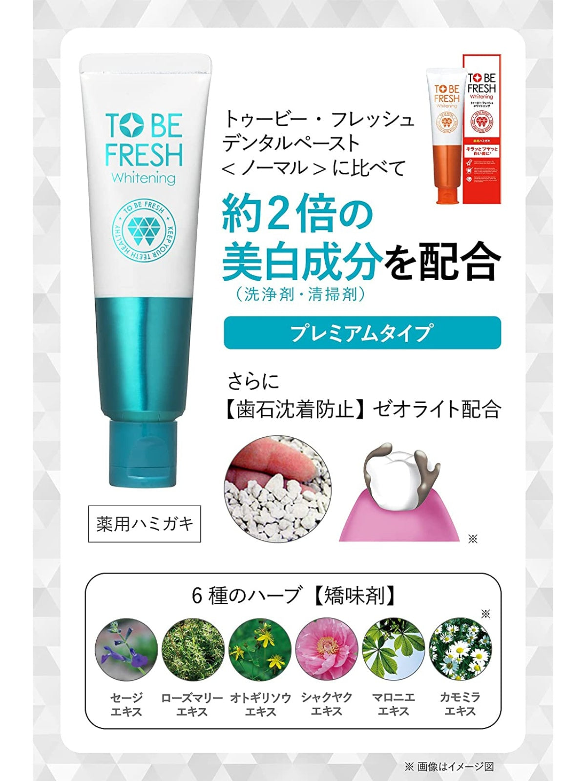 【医薬部外品】 薬用 ホワイトニング プレミアム ハミガキ粉 [美白 口臭予防] トゥービー フレッシュ 60g