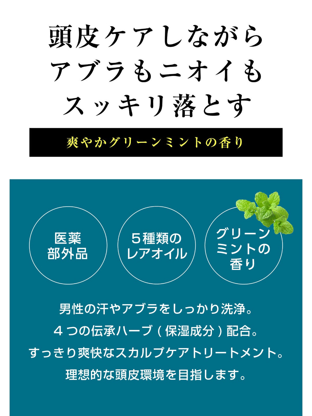 【医薬部外品】薬用 トリートメント [頭皮ケア] グリーンミントの香り MARO マーロ デオスカルプ 詰替 400mL