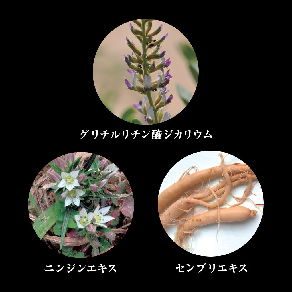 生薬由来の有効成分が頭皮へダイレクトにアプローチ