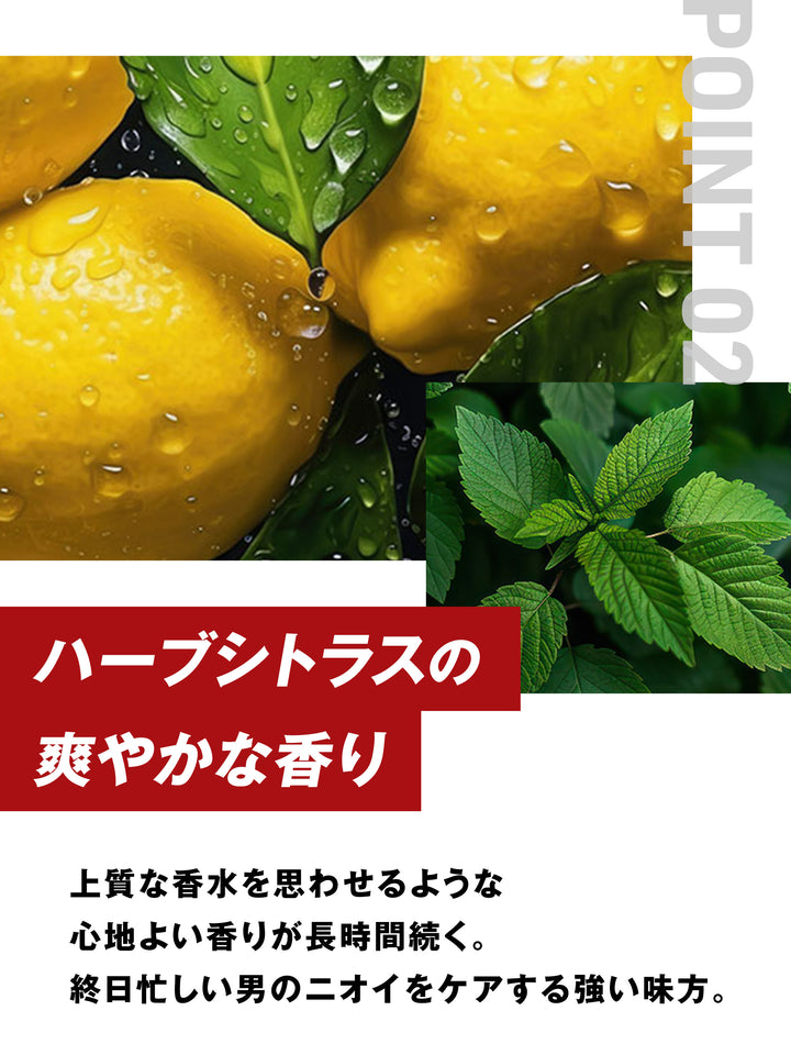 ボディソープ [全身用 顔も洗える] ハーブシトラスの香り MARO マーロ