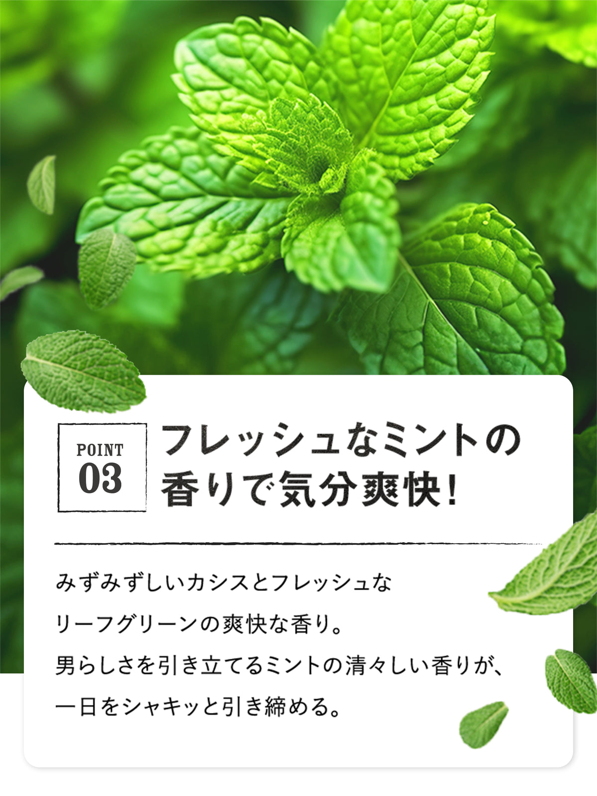 3Dボリュームアップ シャンプー EX [超立毛] ジェントルミントの香り トライアル MARO マーロ 10mL✕2
