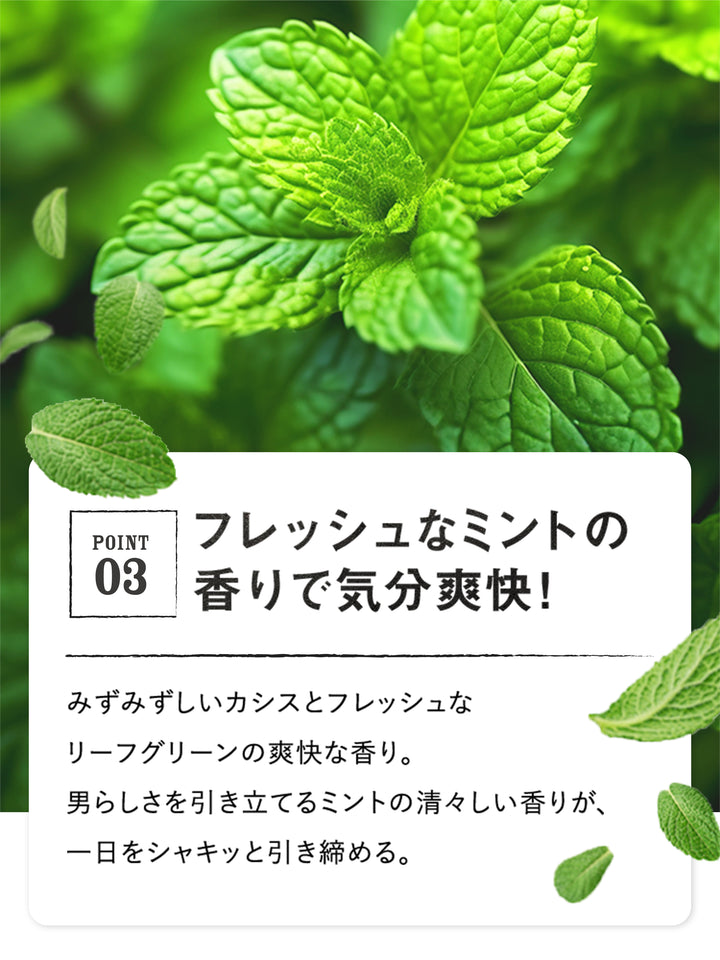 4582469491705_4_ac201928-ccf5-