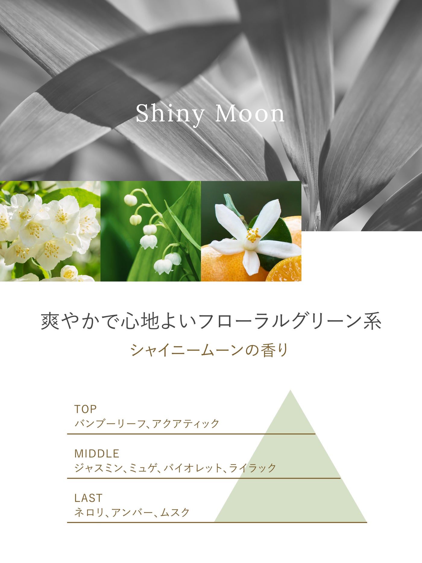 部屋用フレグランス 詰替 シャイニームーン ラボン 150g