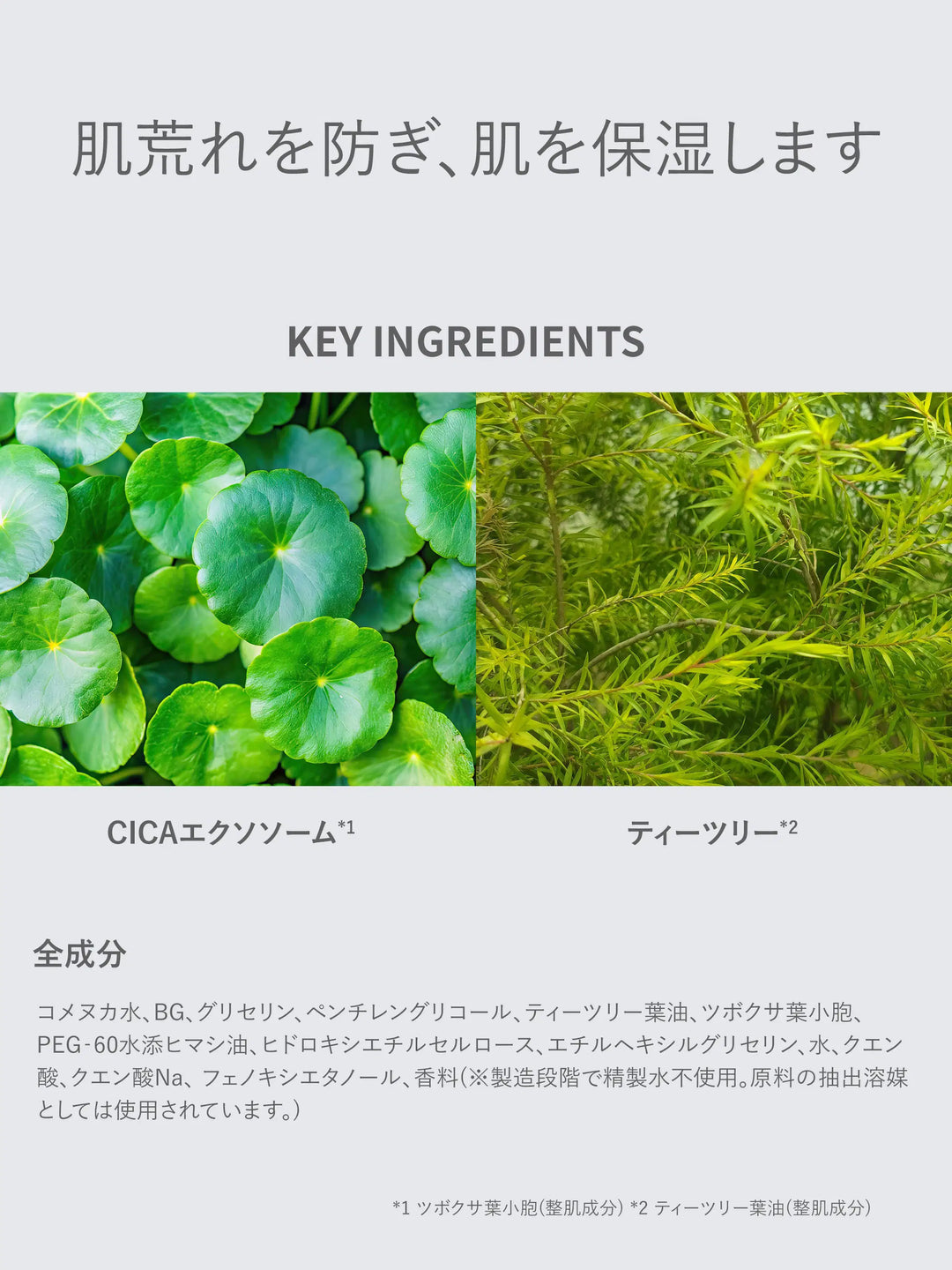 ダーマンプルマスク CICAエクソソーム ×ティーツリー SHIMBI METHOD