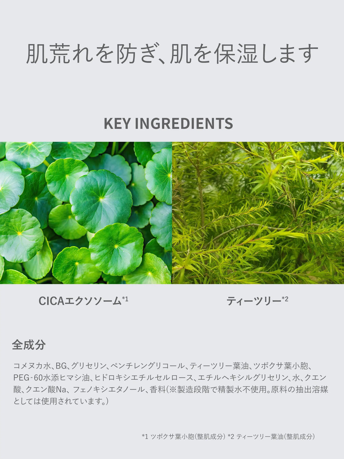 ダーマンプルマスク CICAエクソソーム ×ティーツリー SHIMBI METHOD