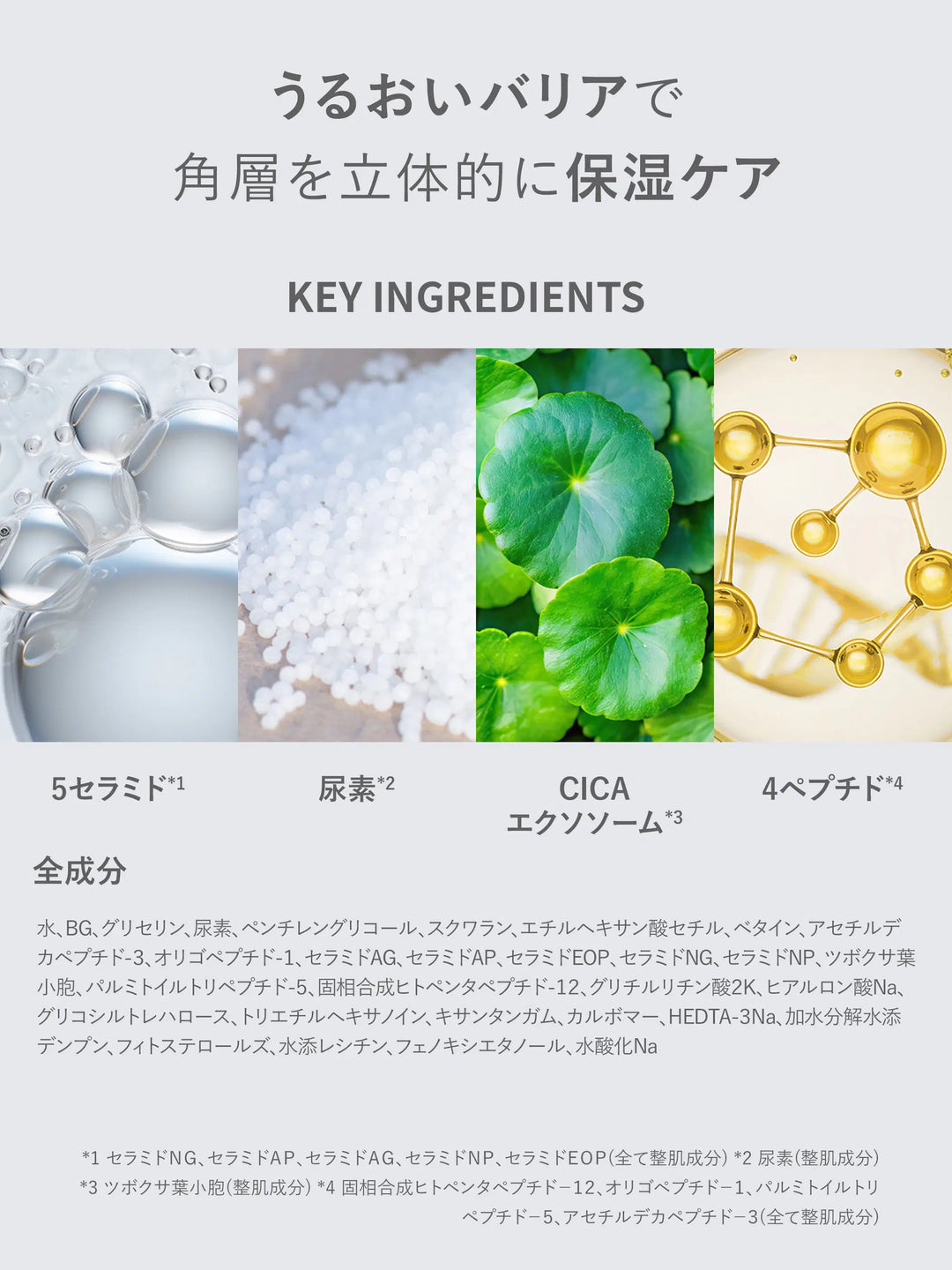 ダーマクリーム 4ペプチド5セラミド (モイストクリア) SHIMBI METHOD