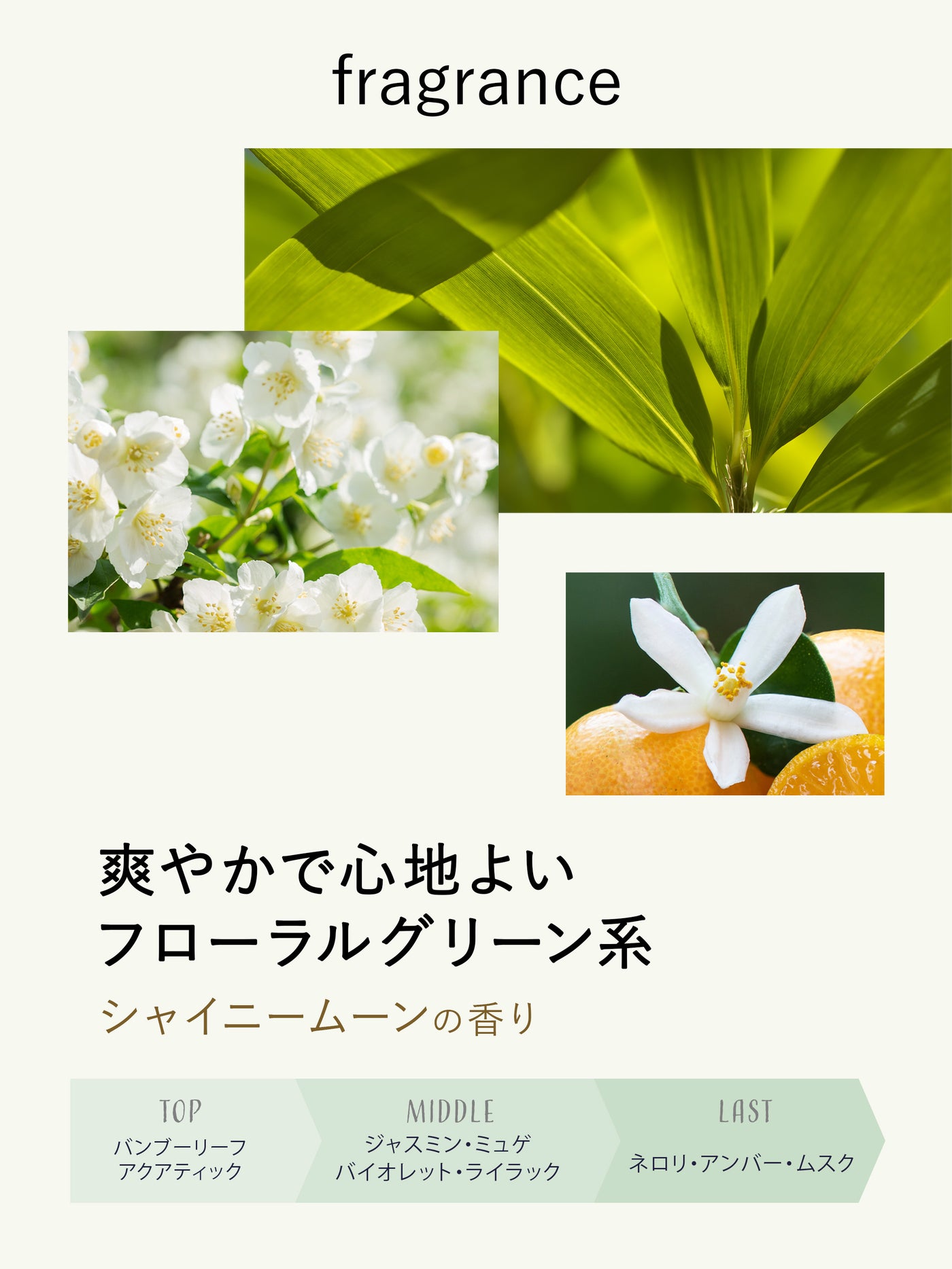 柔軟剤洗剤 シャイニームーン ラボン 850g