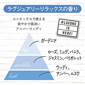 セット内容