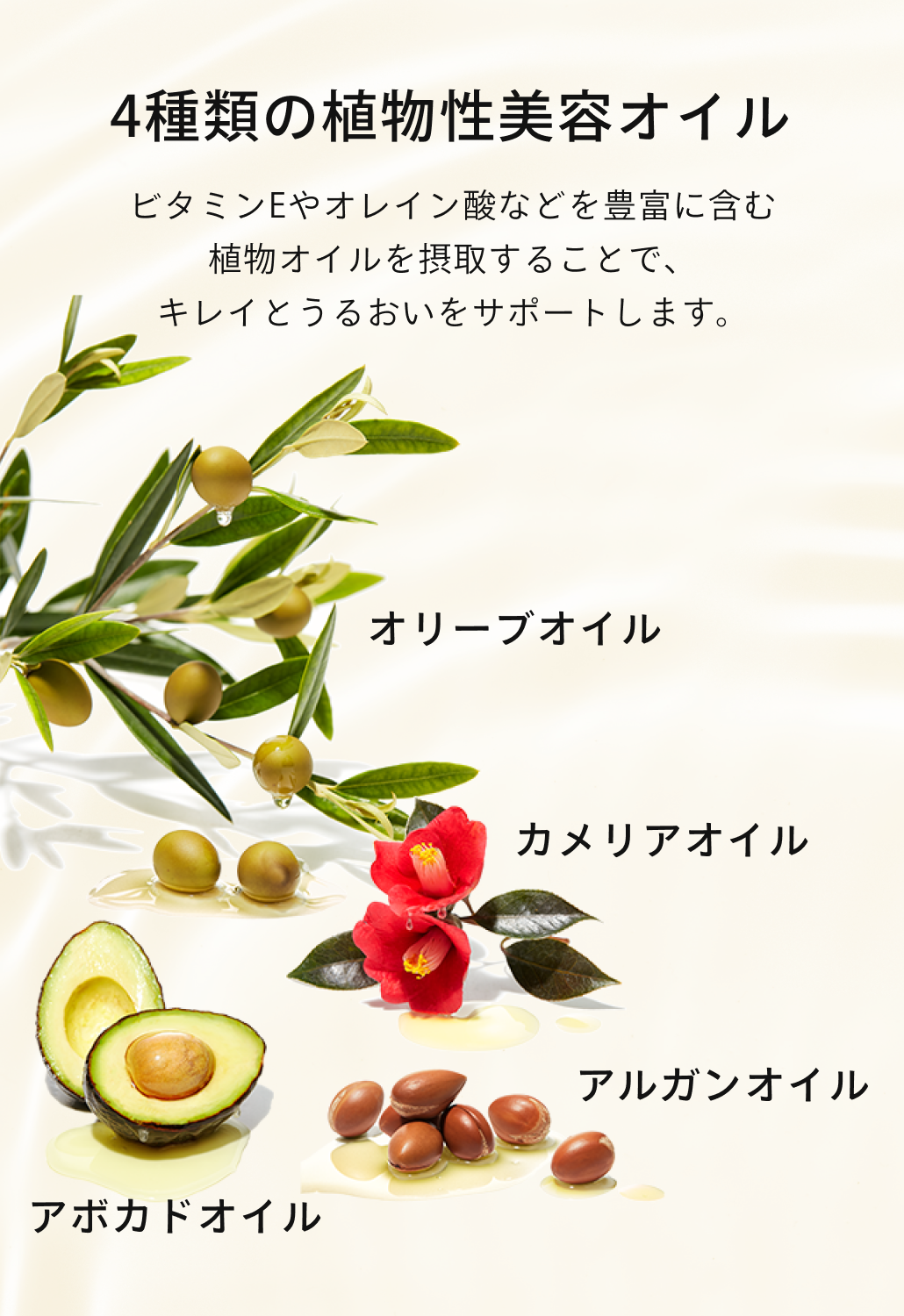 【メール便・送料無料】フィート ブライトC 【栄養機能食品 (ビタミンC・ビタミンE)】詰替 リフィルタイプ 60粒  feat.