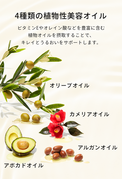 【メール便・送料無料】フィート ブライトC 【栄養機能食品 (ビタミンC・ビタミンE)】詰替 リフィルタイプ 60粒  feat.