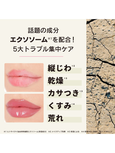 【メール便・送料無料】プランプリペア リップセラム ビギナー クリア immy immy 10G