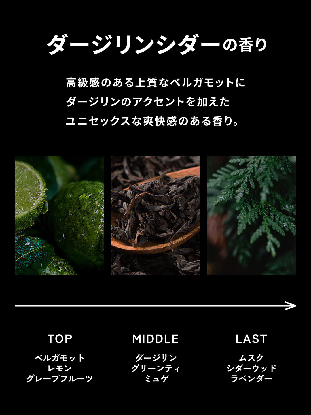 パーフェクトスタイリング ジェル ハード MARO マーロ 80G - NatureLab