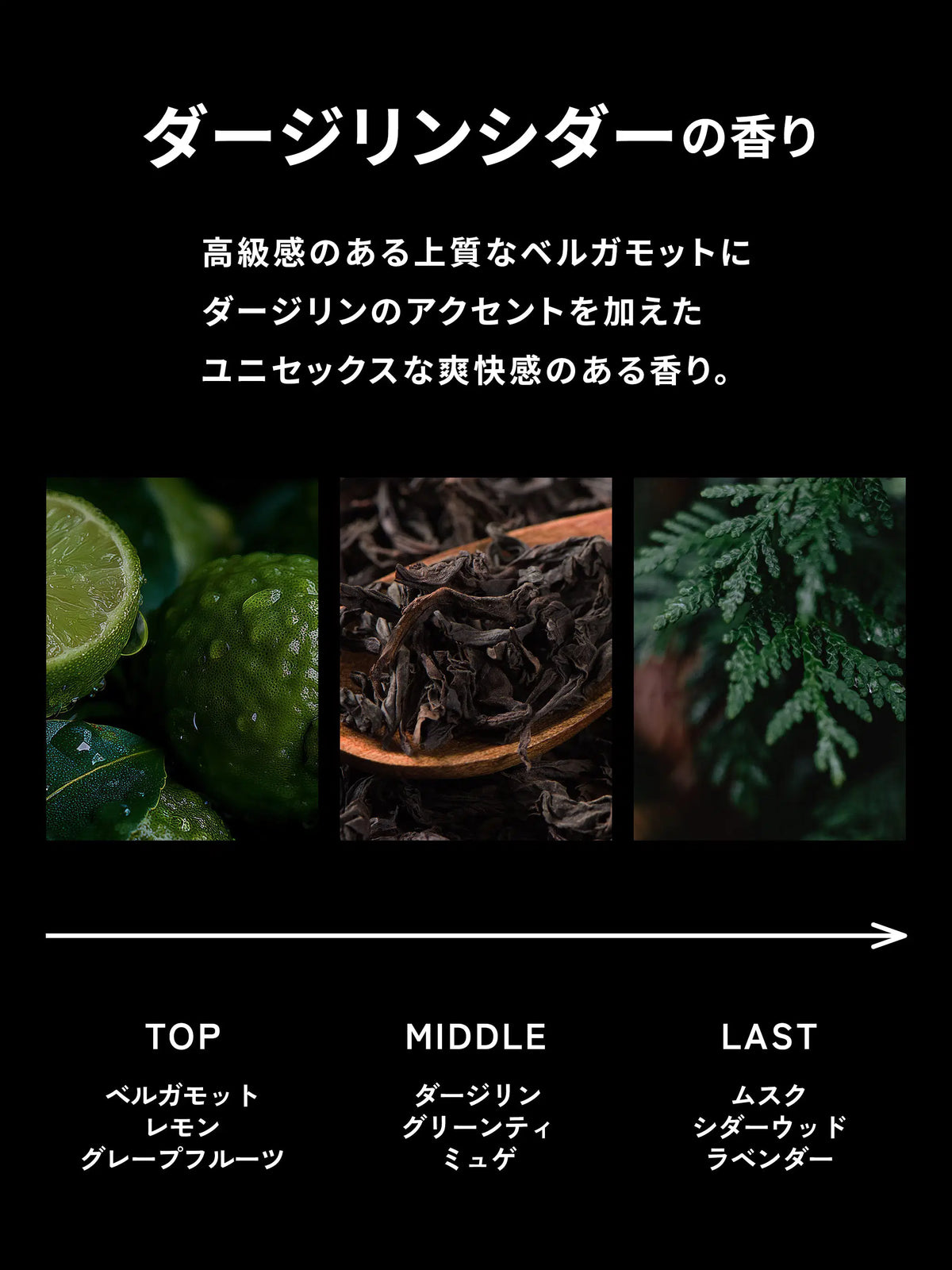パーフェクトスタイリング ジェル ナチュラル MARO マーロ 80G