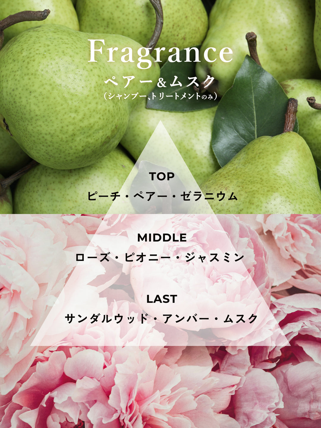 ヘマチン ブースター シャンプー＆トリートメント トライアル マイ