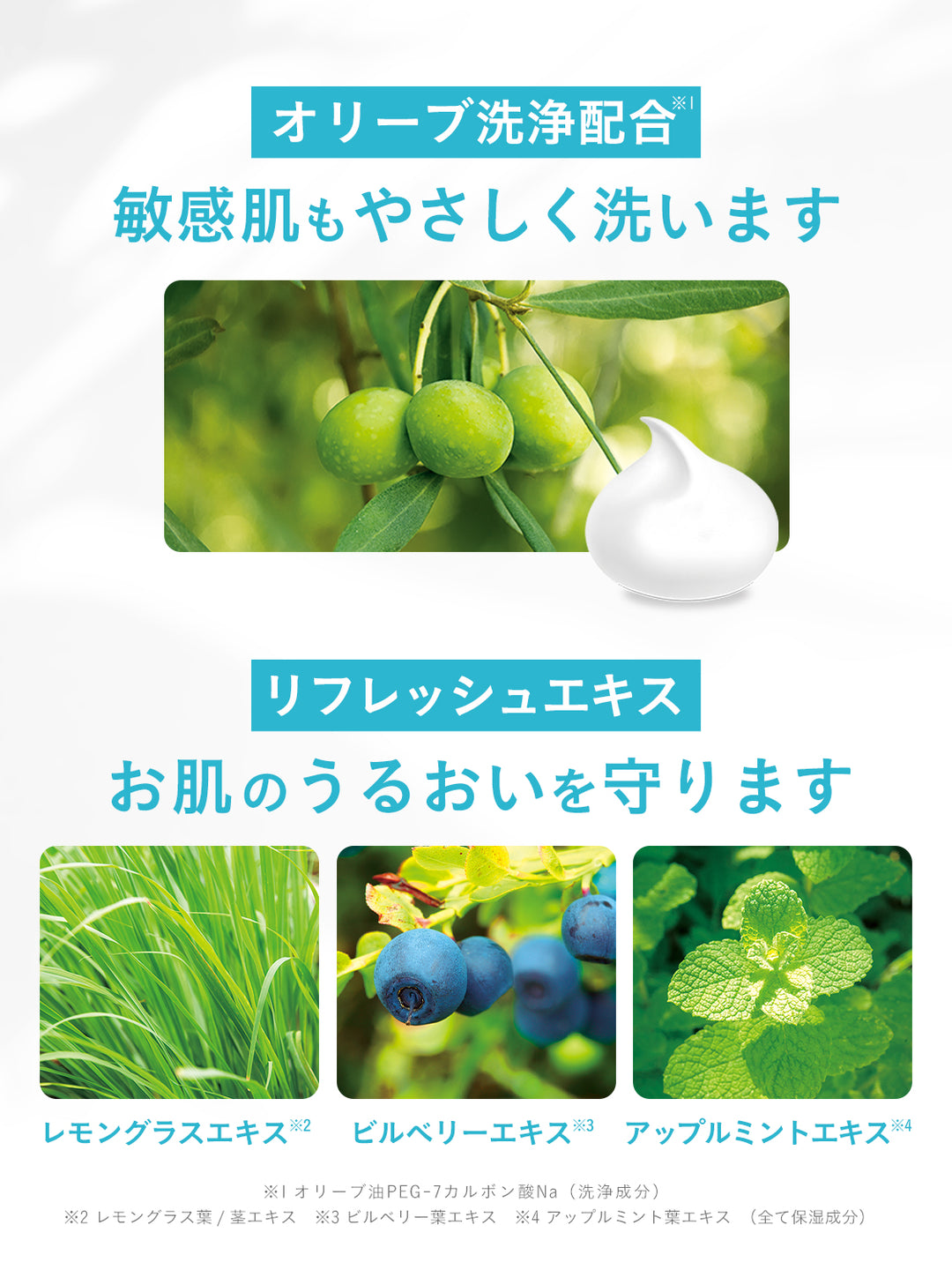 ボディソープ [敏感肌もやさしく洗う] シトラスサボンの香り ダイアン