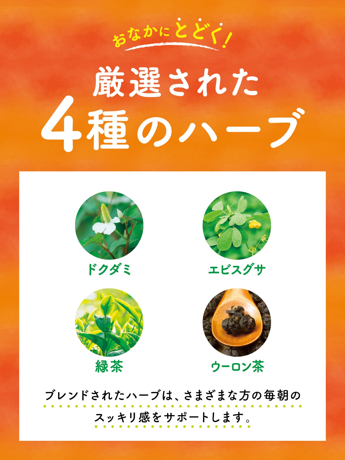 【トライアル購入者様限定&送料無料】DERU(デルー) 20日分 80粒 スベルティ