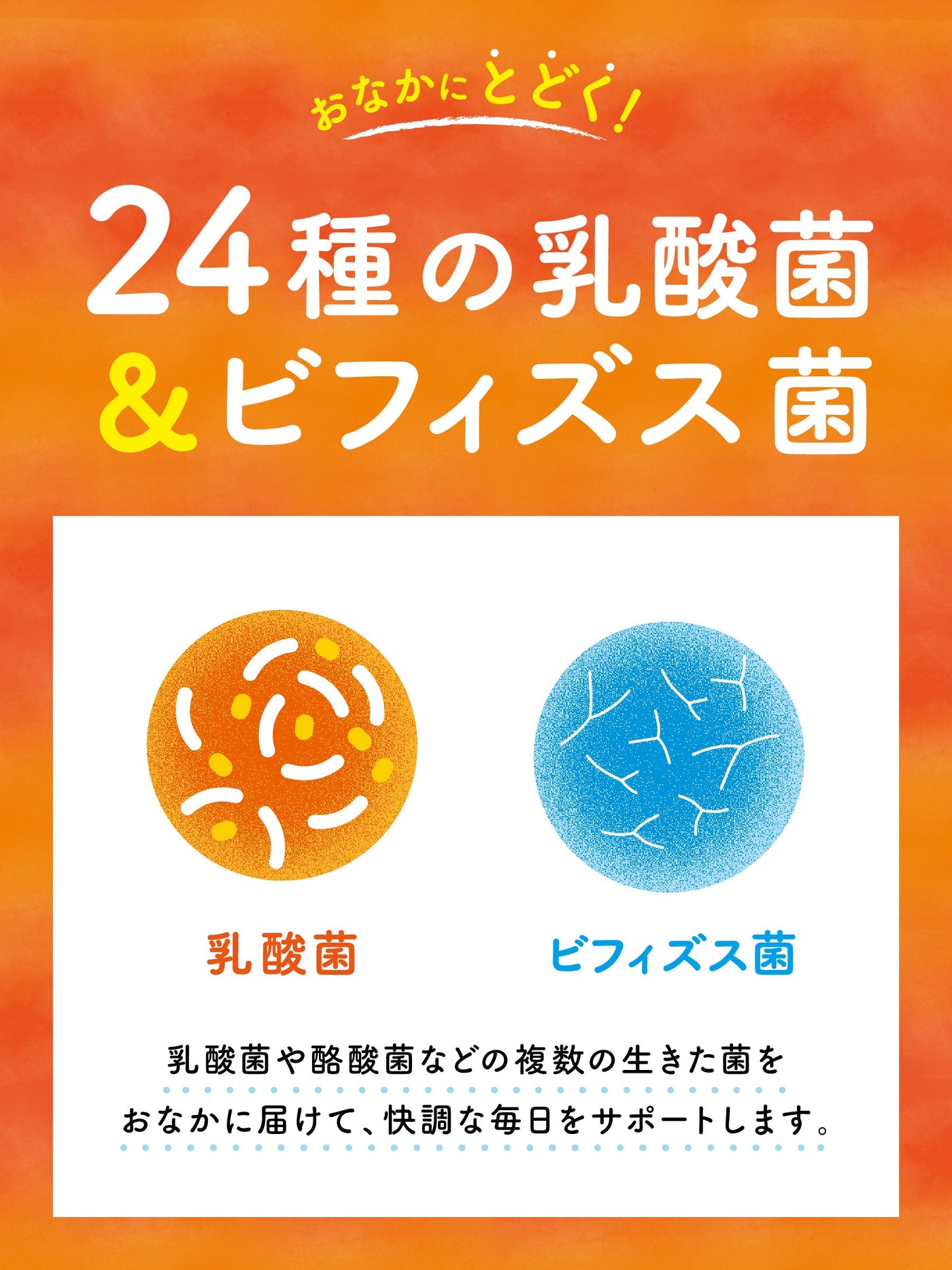 【人気のサプリを試せるセット】スベルティ DERUを500円で試せるセット お一人様1回のみ購入