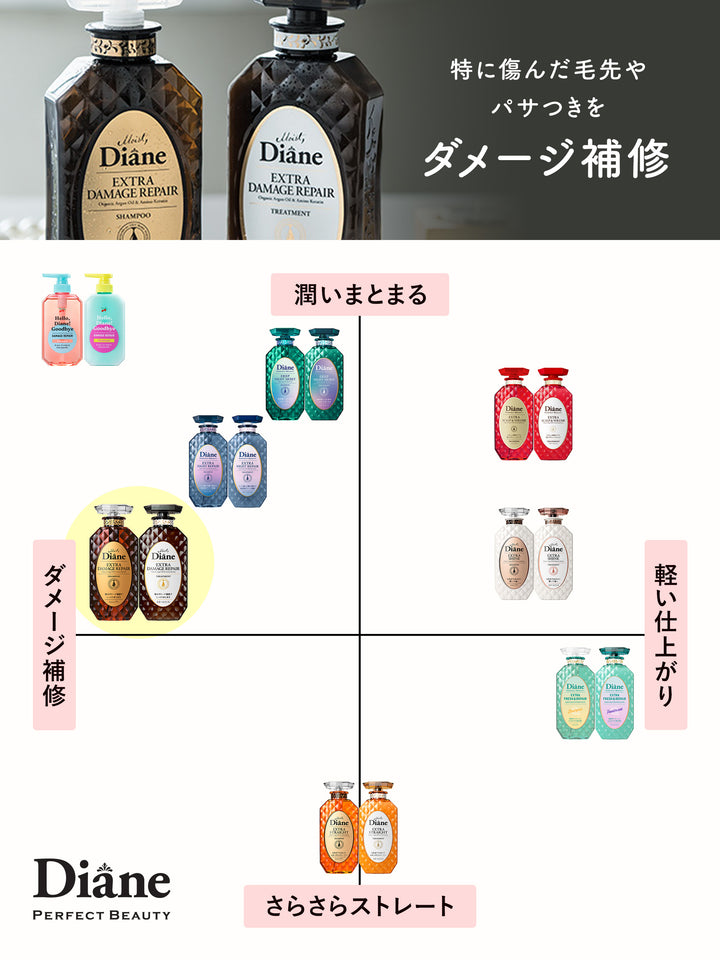 シャンプー&トリートメント [ダメージ補修] フローラル&ベリーの香り