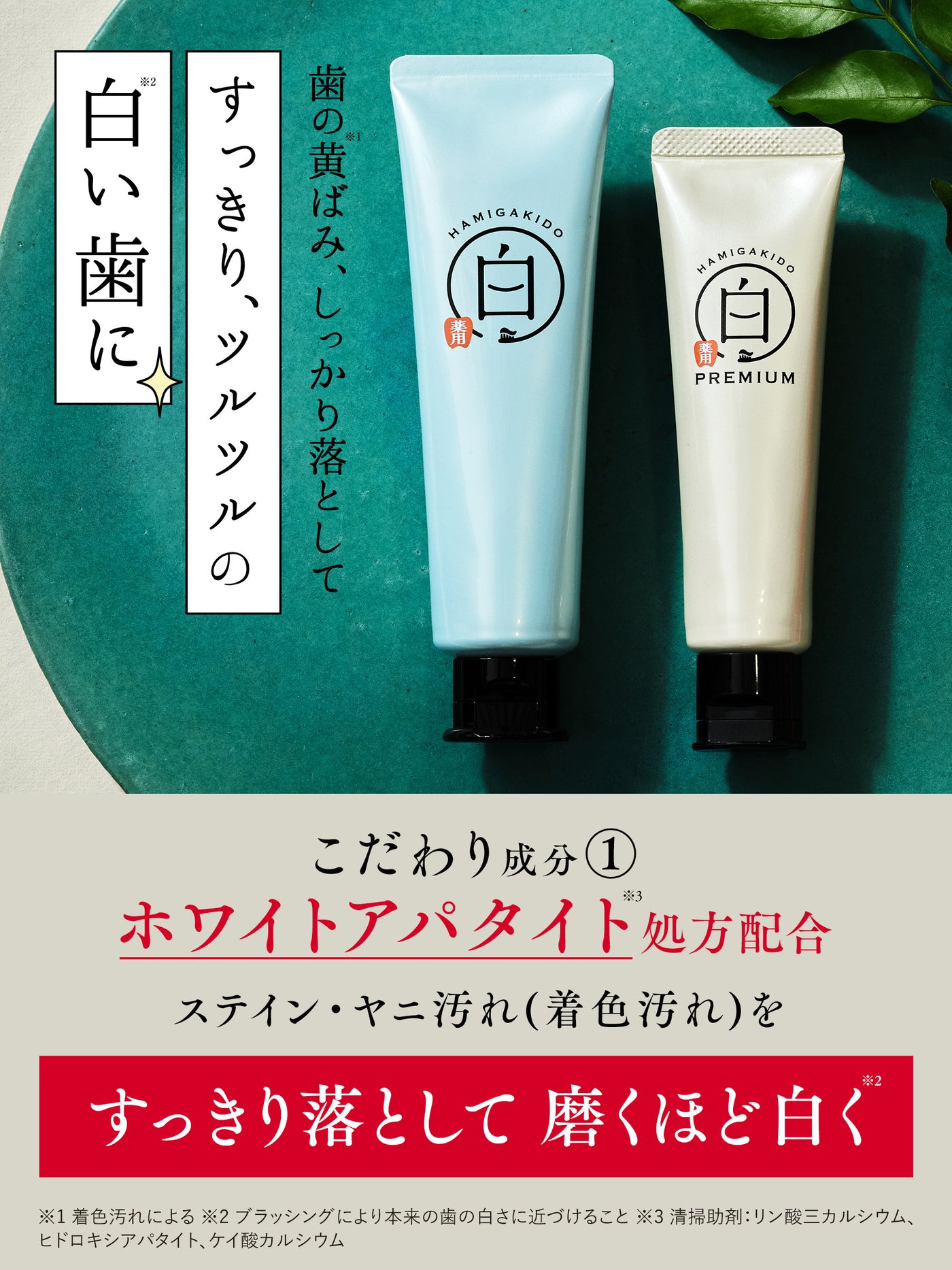【医薬部外品】薬用ホワイトニング ペースト 歯磨き堂 90G