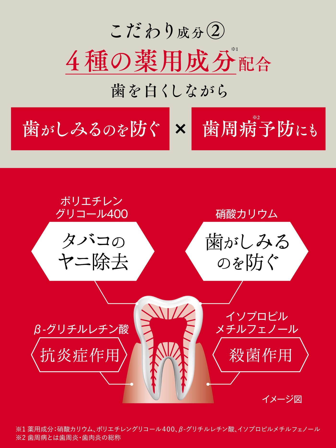 【医薬部外品】薬用ホワイトニング ペースト プレミアム 歯磨き堂 60G