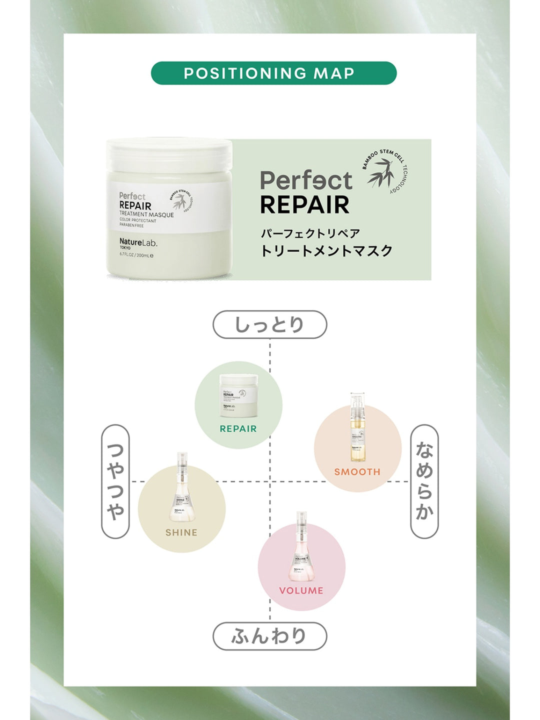 【LCN】　トリートメントマスクブラシ LCN】 トリートメントマスクブラシ2本セット LCN JAPAN | HOME