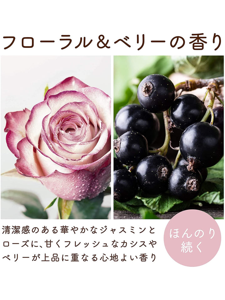 TDI パーフェクトハーモニー フォトCD「マストリートメント」再生OK！ 希少 TDEパーフェクトハーモニー フォトcd マス