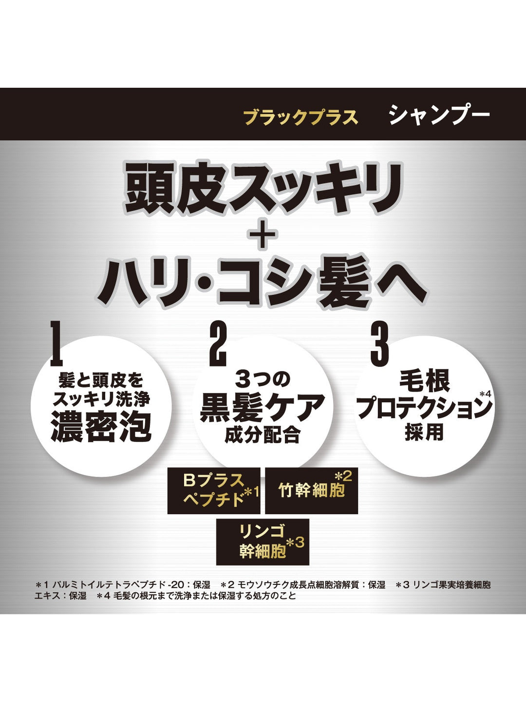 シャンプー ブラックプラス [ハリコシのある黒髪へ] ジェントル