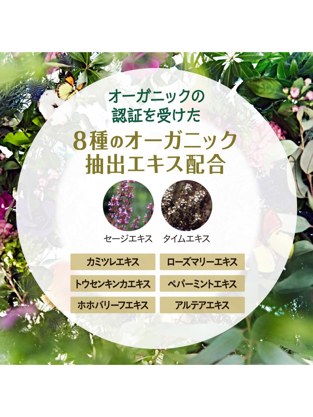 柔軟剤 3倍 詰替 リラックスグリーンティー ランドリン ボタニカル 1290mL - NatureLab Store